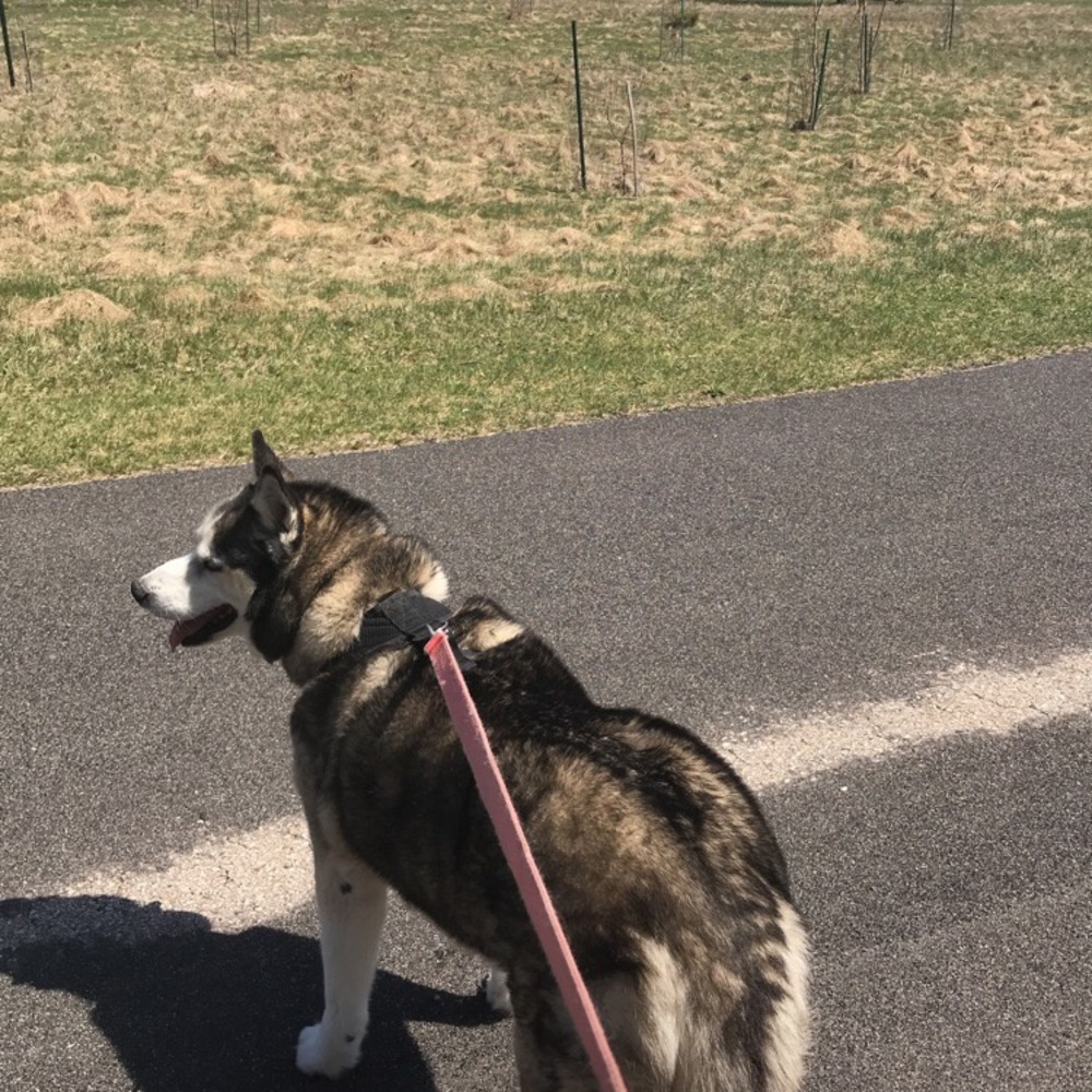 Meet your Posher, Brittany